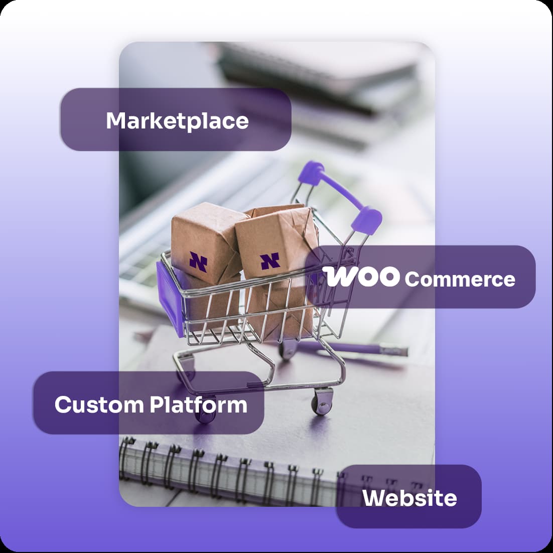 Existing ecommerce sales channels connected to Niftipay