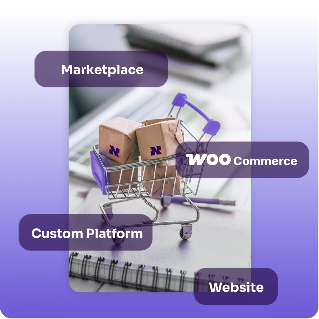 Existing ecommerce sales channels connected to Niftipay
